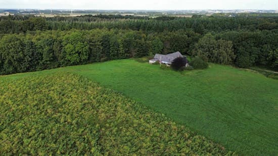 Skovhusevej 38, Eriknauer - billede 2