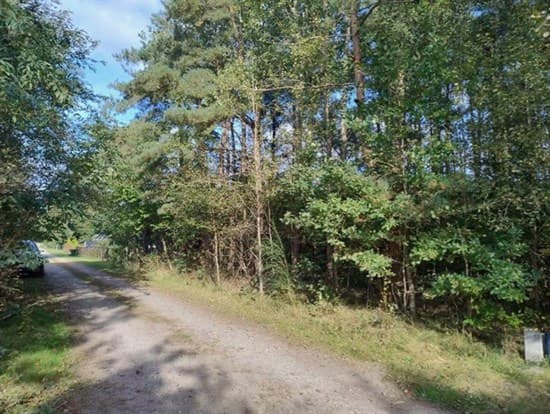 Skovmusvej 7, Thorsager - billede 1