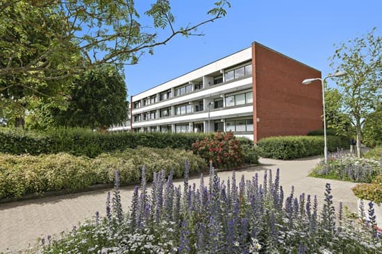 Brobjerg Parkvej 89, st.. 2. - billede 1