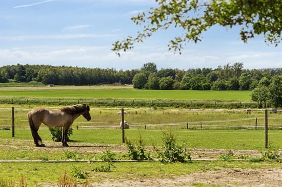 Egå Mosevej 97 - billede 1