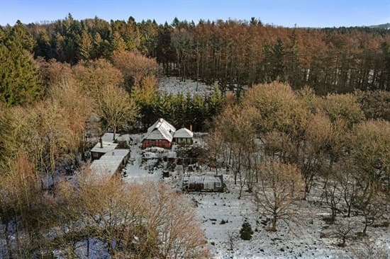Horndrupvej 21 - billede 1